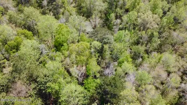 $486,500 | 50 Oakdale Church Road, Seminary, MS 39479