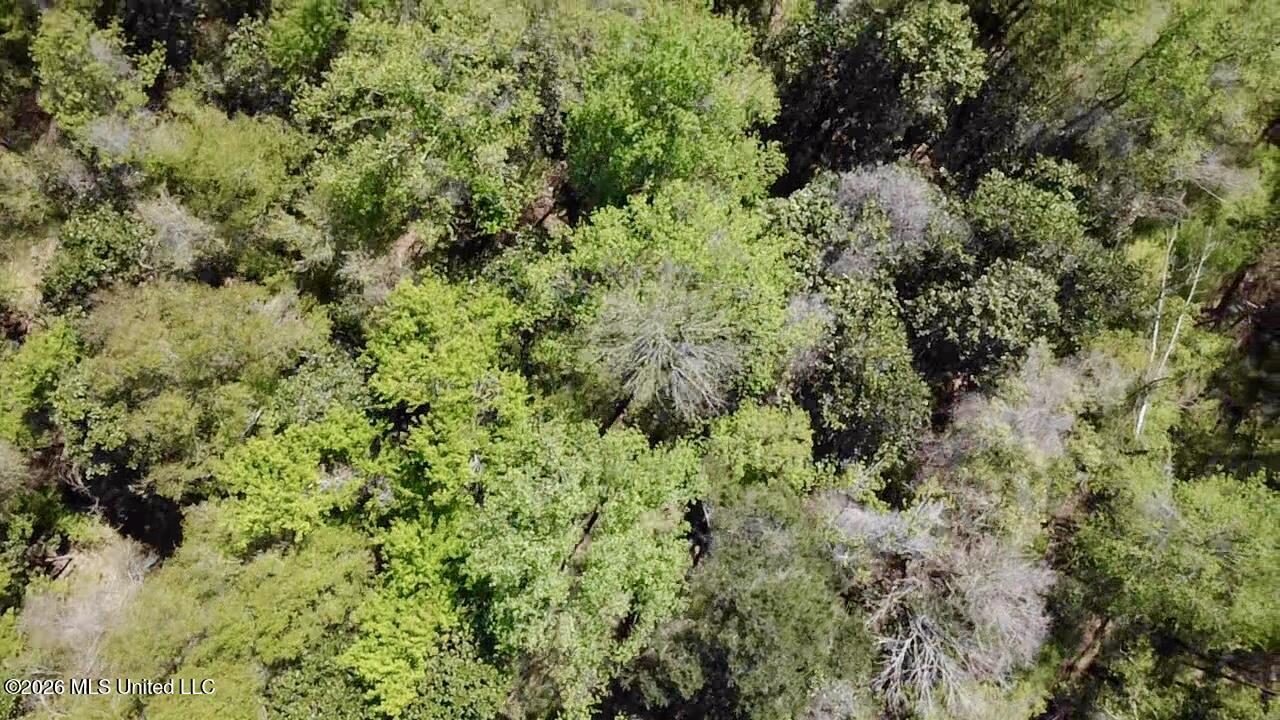 50 Oakdale Church Road Seminary, MS 39479 - Photo 27 of 65 2026-03-23-12-49-50-490