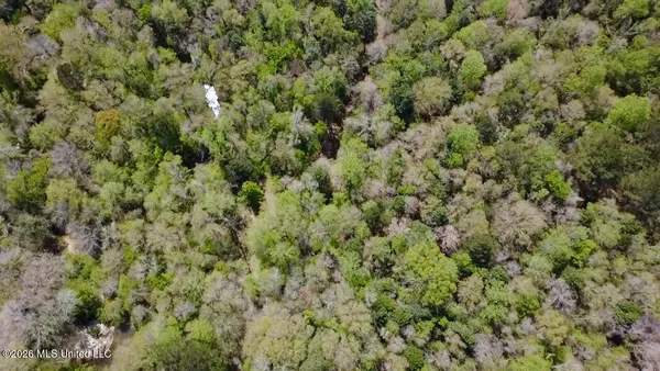$486,500 | 50 Oakdale Church Road, Seminary, MS 39479