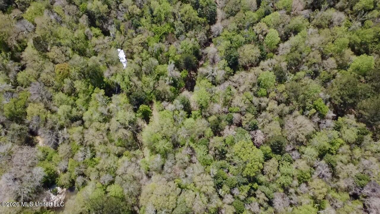 50 Oakdale Church Road Seminary, MS 39479 - Photo 28 of 65 2026-03-23-12-45-56-017