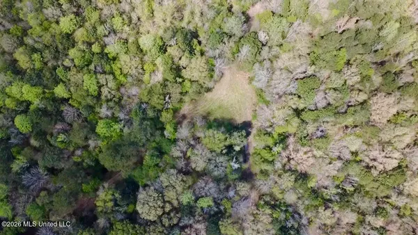 $486,500 | 50 Oakdale Church Road, Seminary, MS 39479