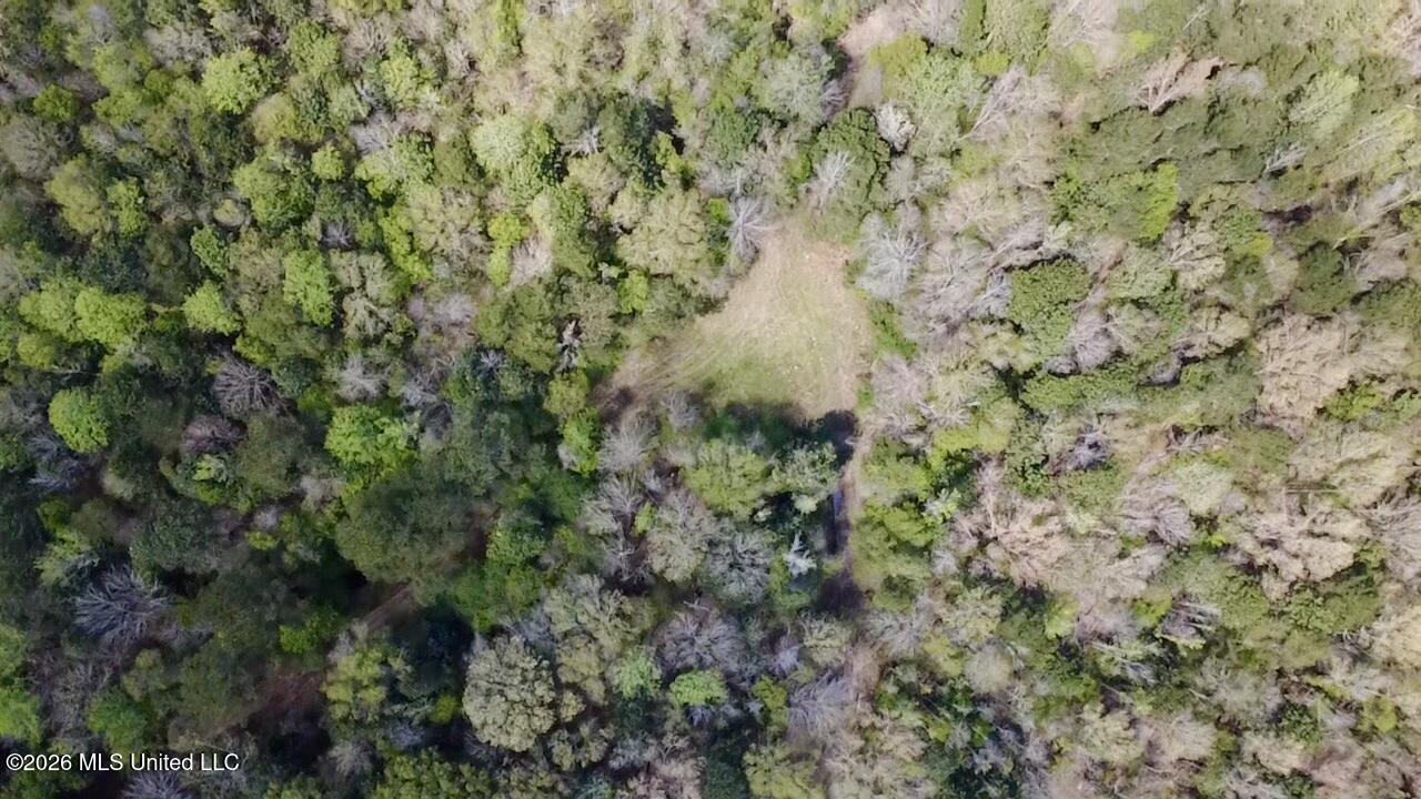 50 Oakdale Church Road Seminary, MS 39479 - Photo 29 of 65 2026-03-23-12-47-12-825