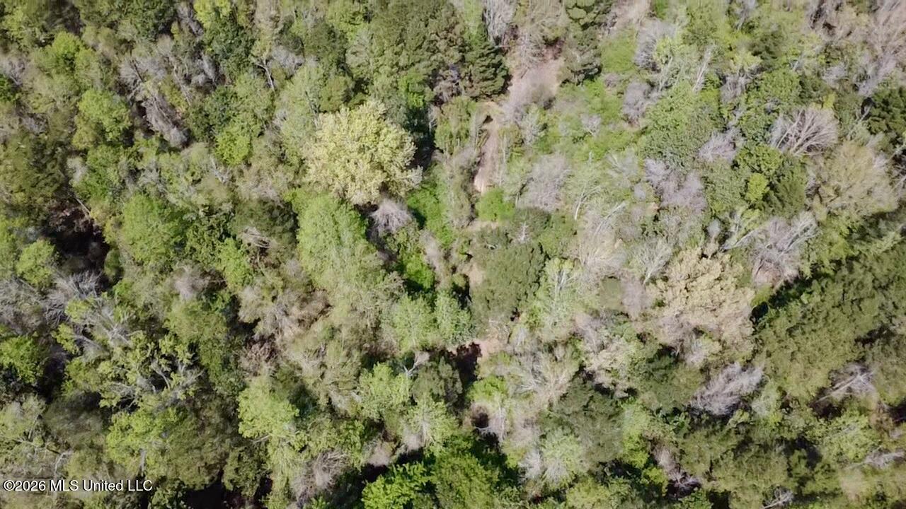 50 Oakdale Church Road Seminary, MS 39479 - Photo 30 of 65 2026-03-23-12-47-37-579