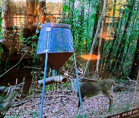 $486,500 | 50 Oakdale Church Road, Seminary, MS 39479