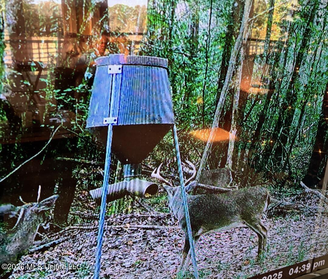 50 Oakdale Church Road Seminary, MS 39479 - Photo 3 of 65 IMG_4169