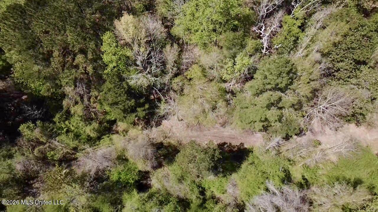 50 Oakdale Church Road Seminary, MS 39479 - Photo 31 of 65 2026-03-23-12-47-57-533