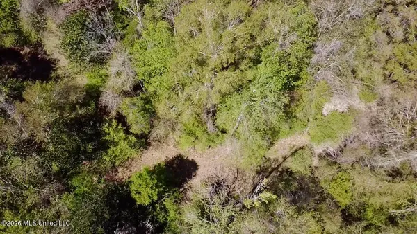 $486,500 | 50 Oakdale Church Road, Seminary, MS 39479