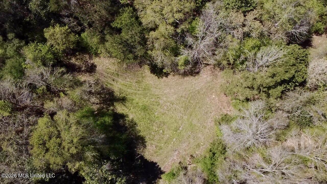 50 Oakdale Church Road Seminary, MS 39479 - Photo 33 of 65 2026-03-23-12-39-53-920