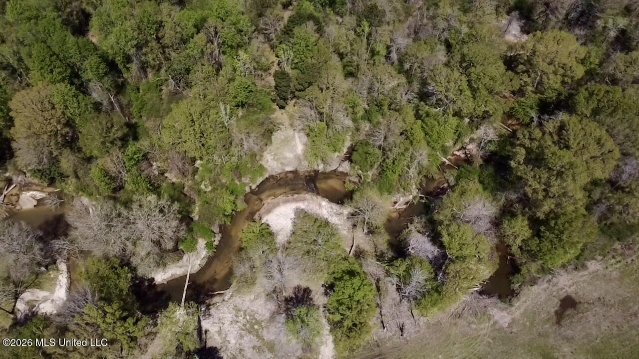 50 Oakdale Church Road Seminary, MS 39479 - Photo 34 of 65 2026-03-23-12-37-37-815