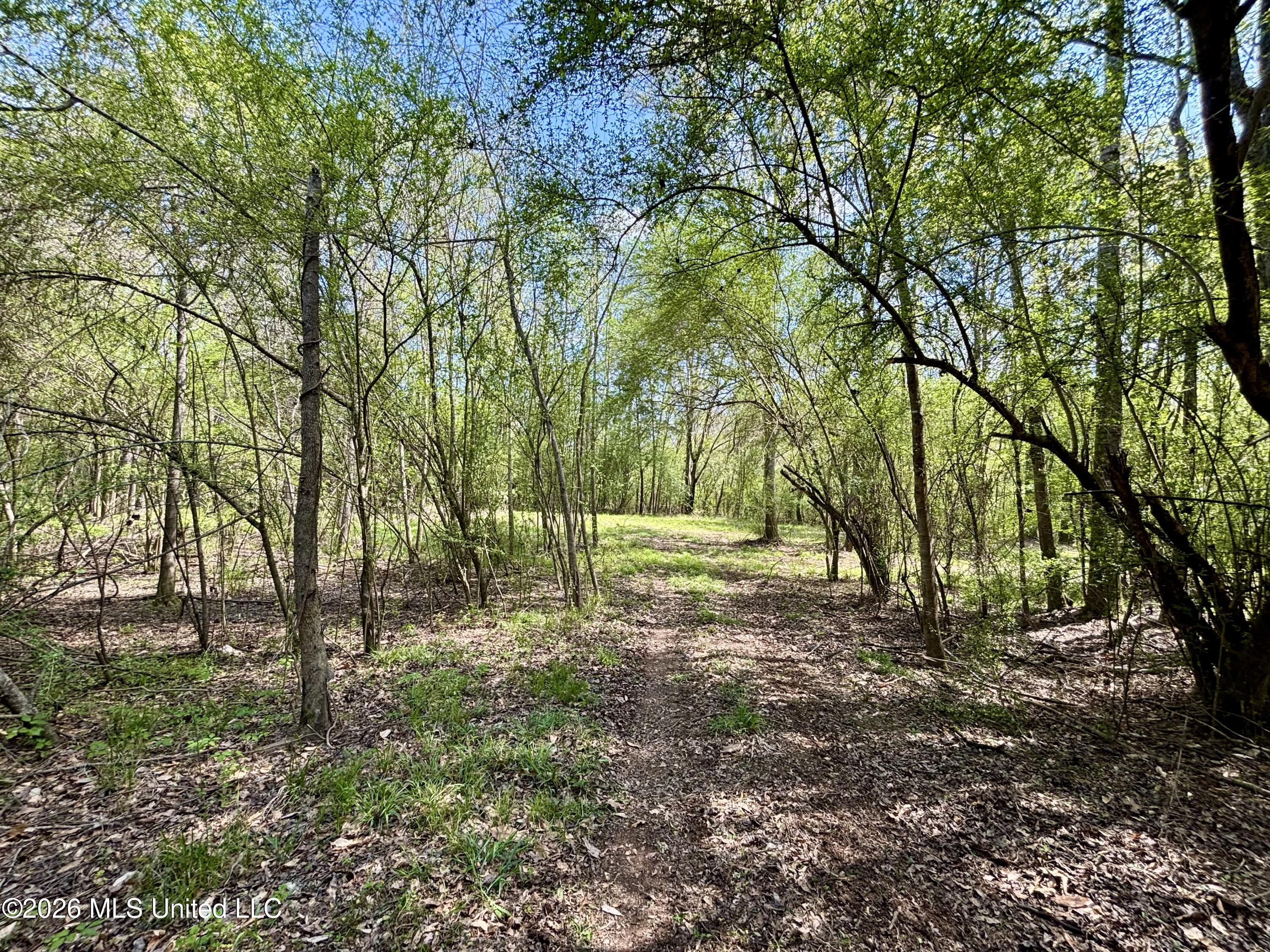 50 Oakdale Church Road Seminary, MS 39479 - Photo 37 of 65 IMG_4085