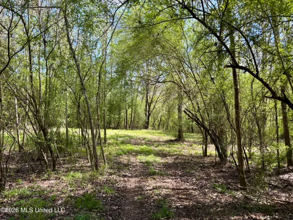 $486,500 | 50 Oakdale Church Road, Seminary, MS 39479