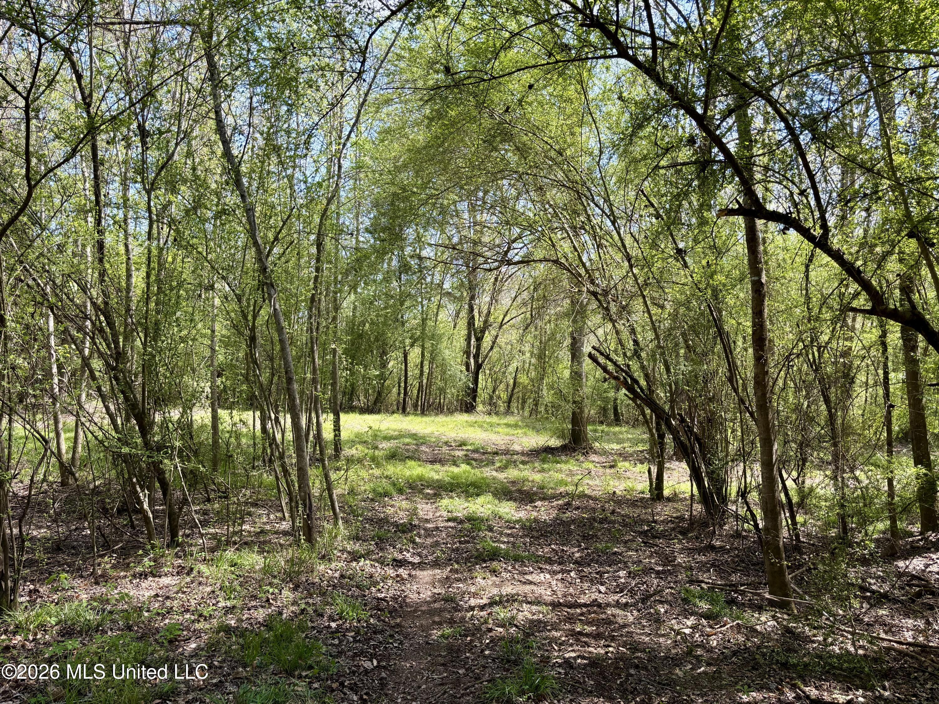 50 Oakdale Church Road Seminary, MS 39479 - Photo 38 of 65 IMG_4083