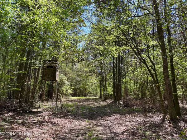 $486,500 | 50 Oakdale Church Road, Seminary, MS 39479