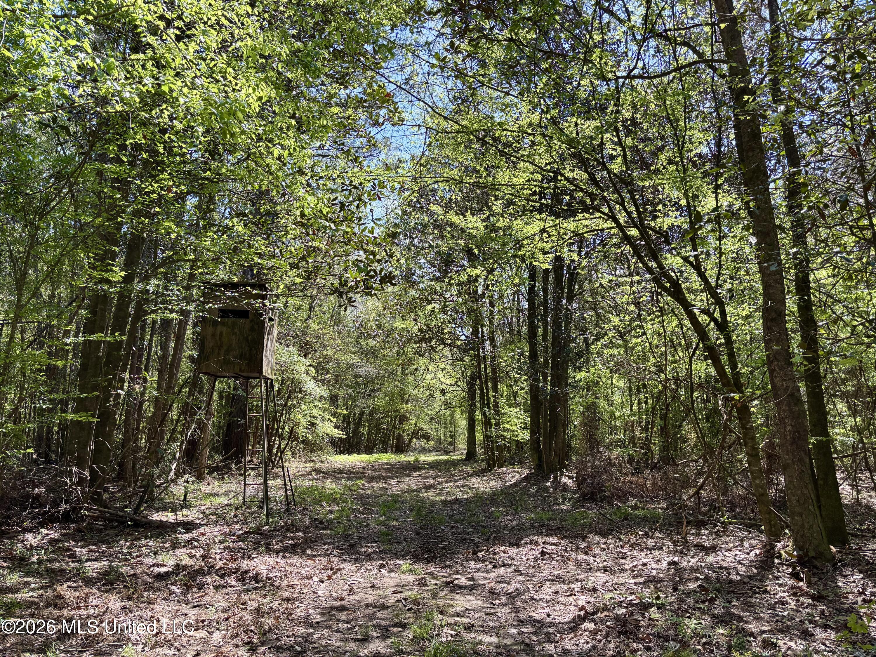 50 Oakdale Church Road Seminary, MS 39479 - Photo 39 of 65 IMG_4068