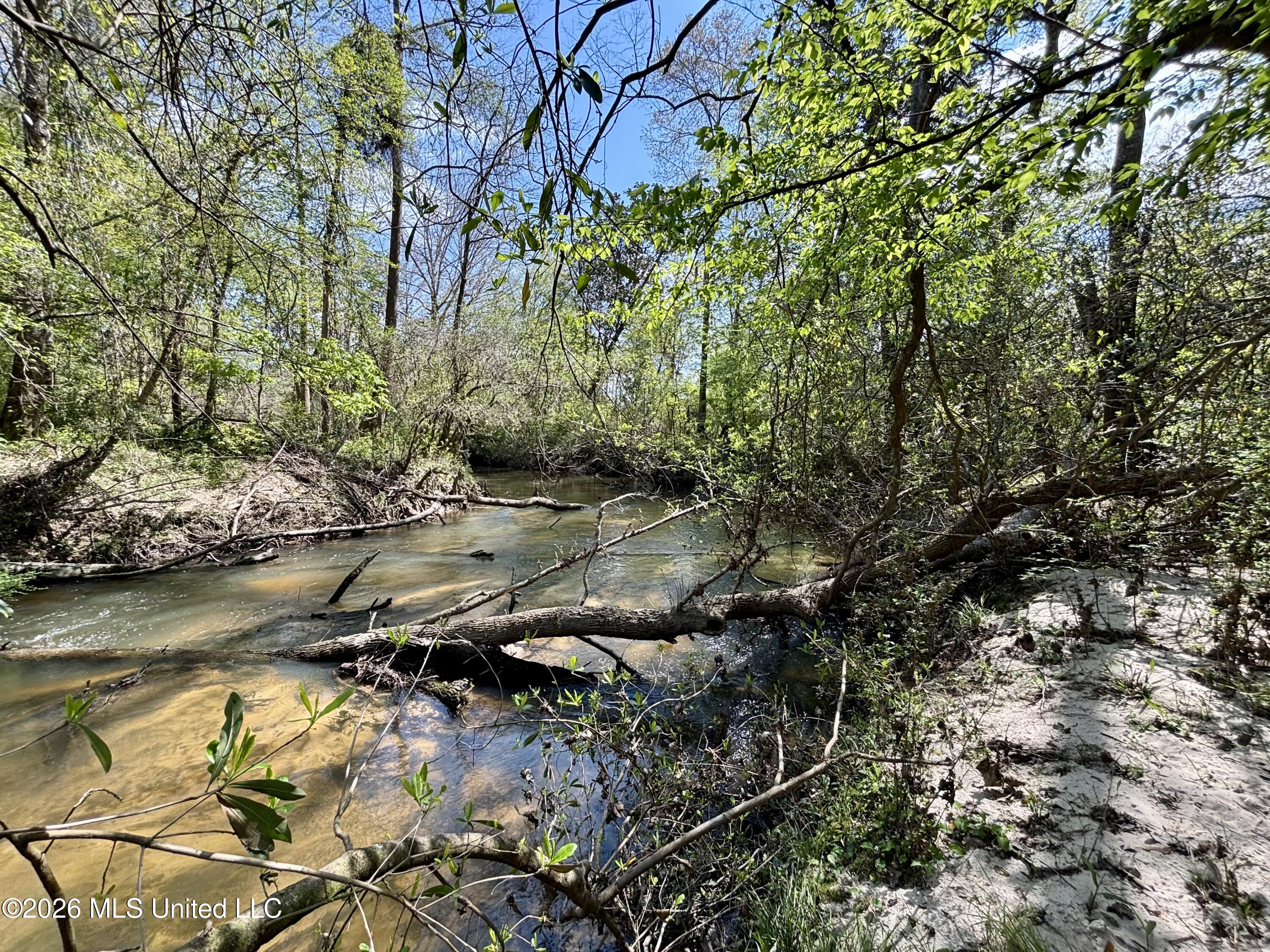 50 Oakdale Church Road Seminary, MS 39479 - Photo 40 of 65 IMG_4061