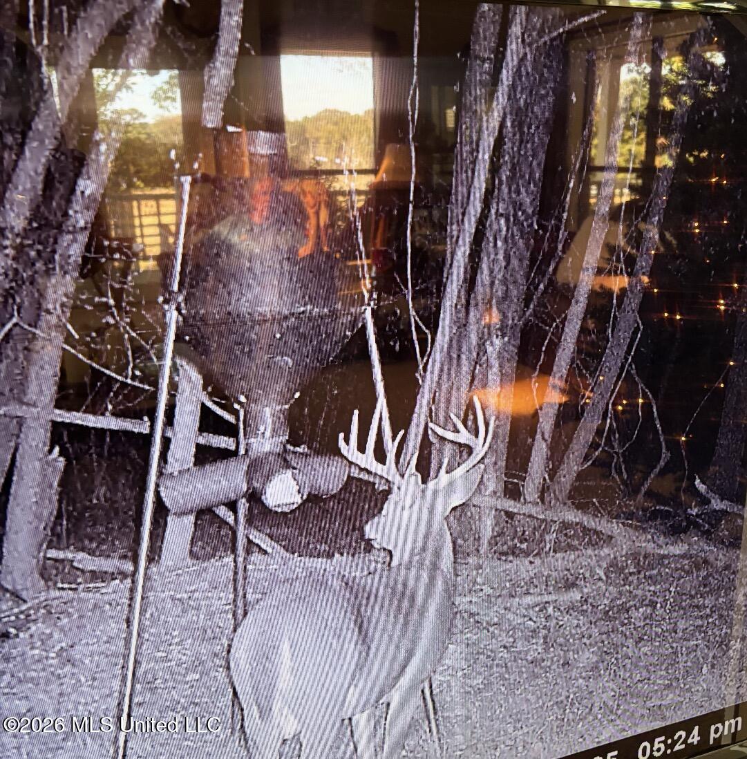 50 Oakdale Church Road Seminary, MS 39479 - Photo 4 of 65 IMG_4168