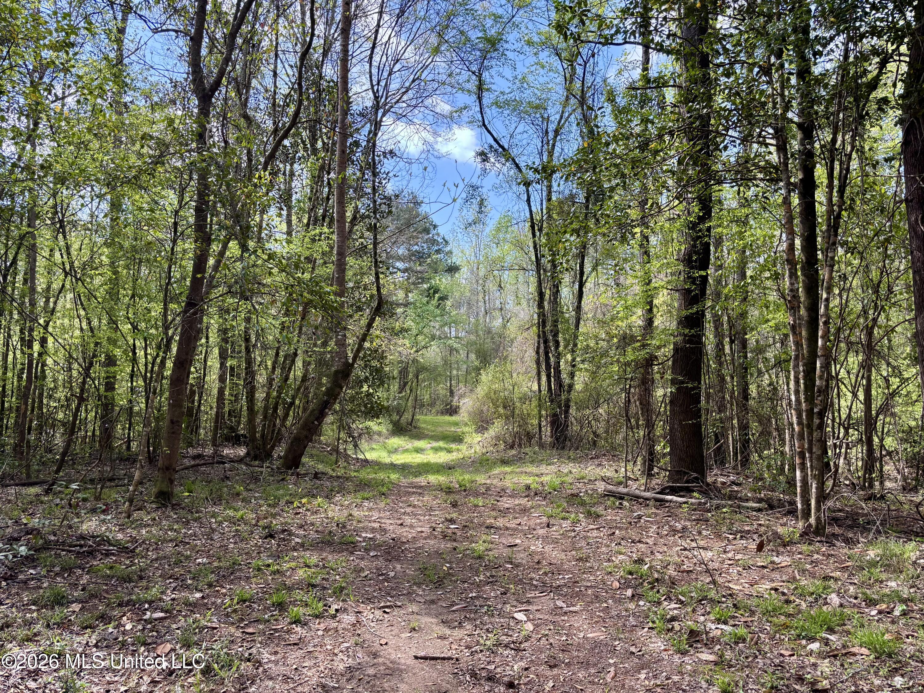 50 Oakdale Church Road Seminary, MS 39479 - Photo 41 of 65 IMG_4053