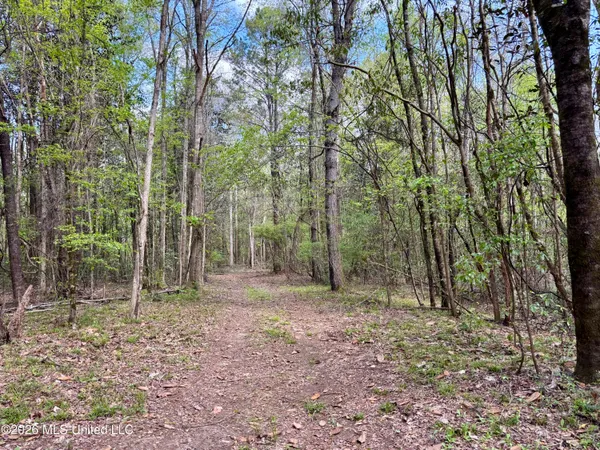 $486,500 | 50 Oakdale Church Road, Seminary, MS 39479