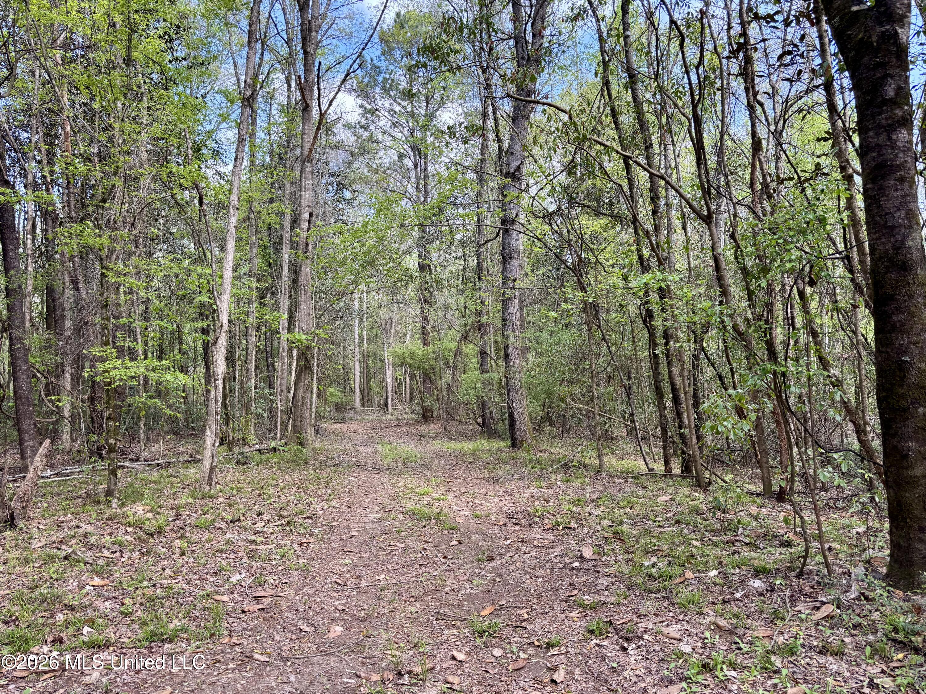 50 Oakdale Church Road Seminary, MS 39479 - Photo 42 of 65 IMG_4055