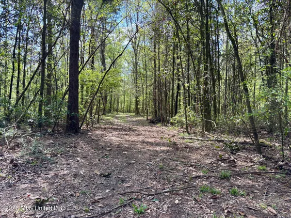 $486,500 | 50 Oakdale Church Road, Seminary, MS 39479