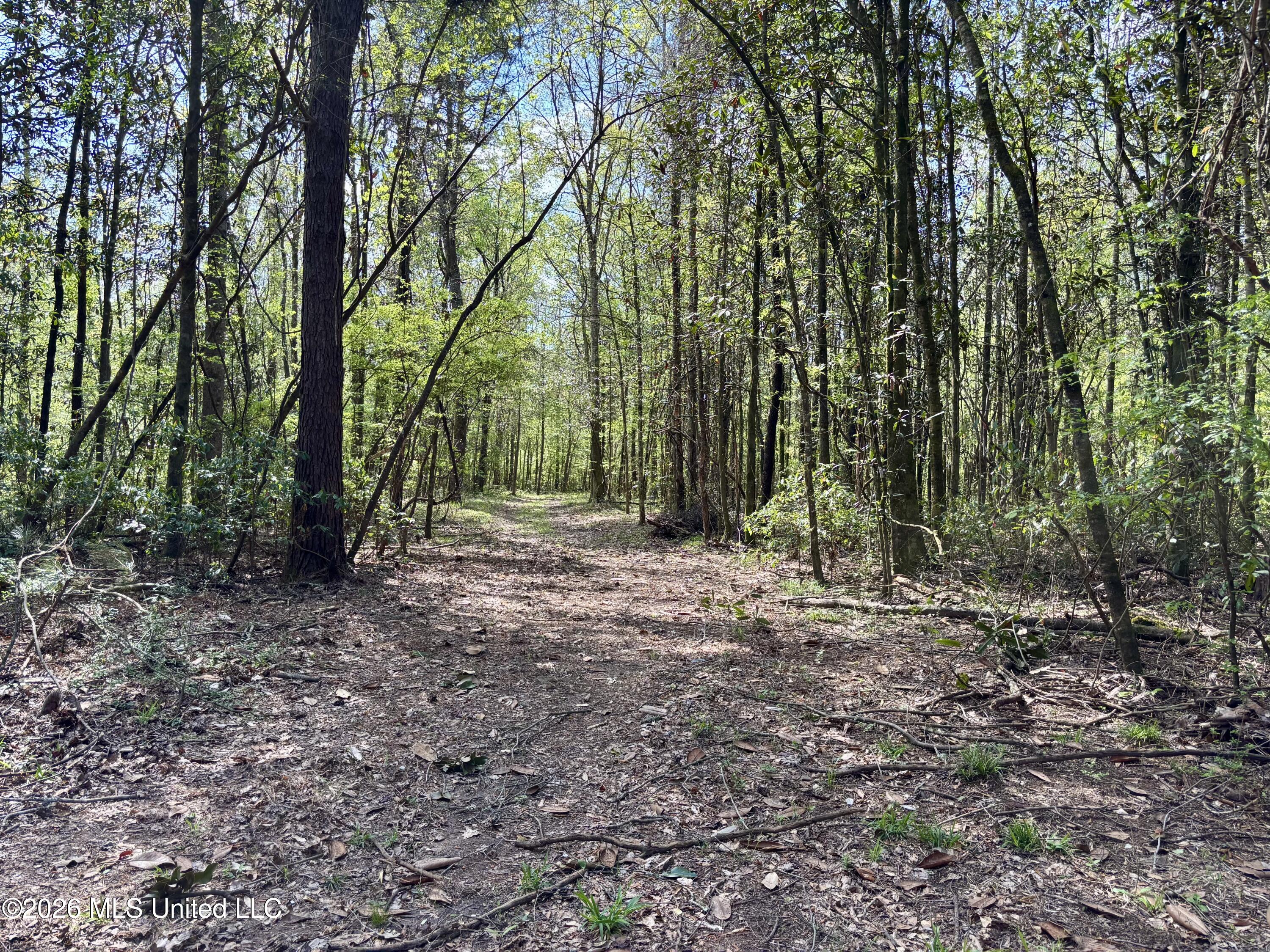 50 Oakdale Church Road Seminary, MS 39479 - Photo 43 of 65 IMG_4056