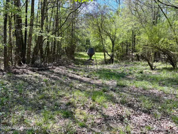 $486,500 | 50 Oakdale Church Road, Seminary, MS 39479