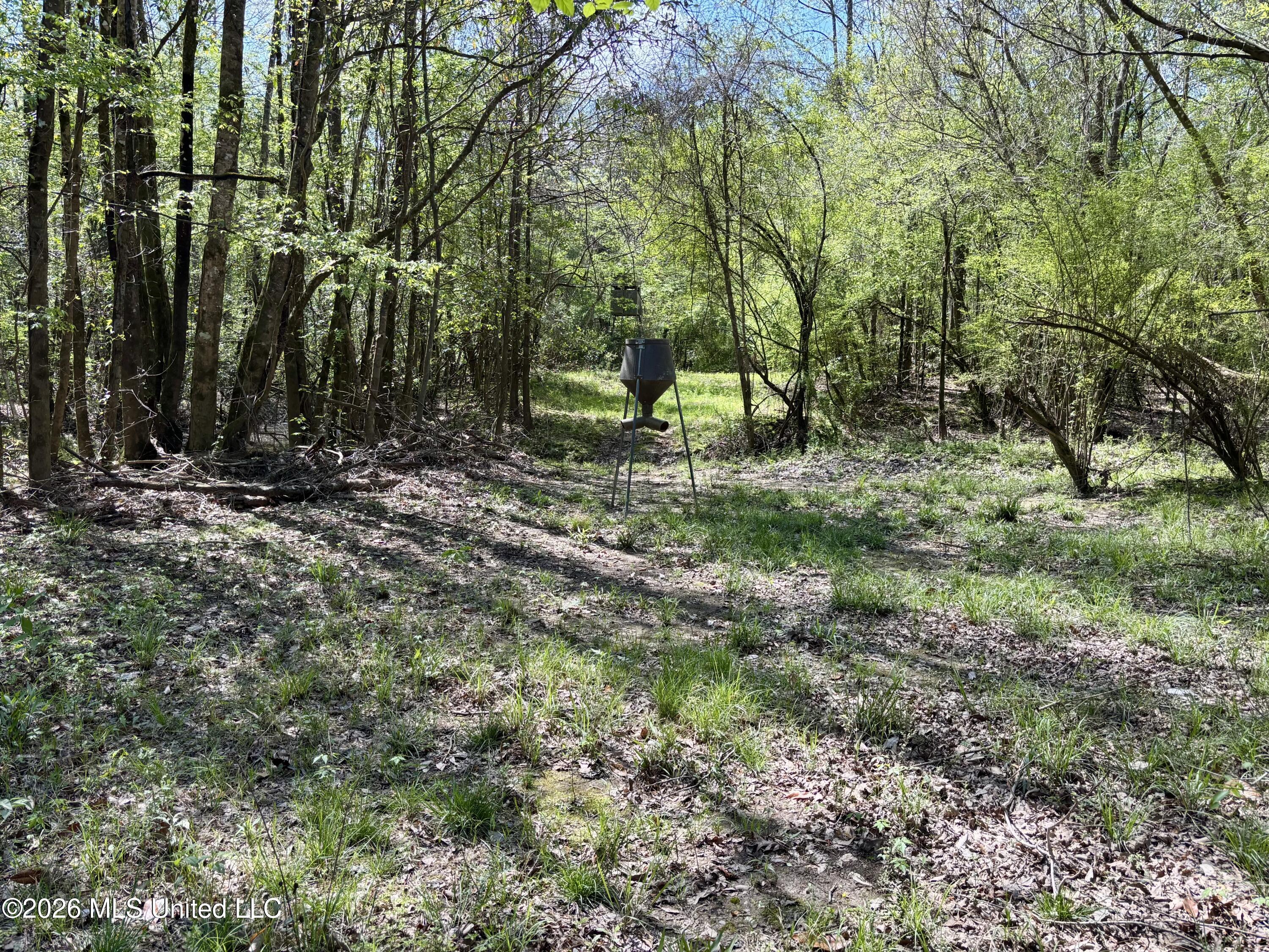 50 Oakdale Church Road Seminary, MS 39479 - Photo 44 of 65 IMG_4058