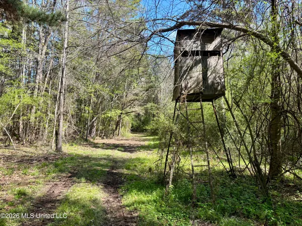 $486,500 | 50 Oakdale Church Road, Seminary, MS 39479