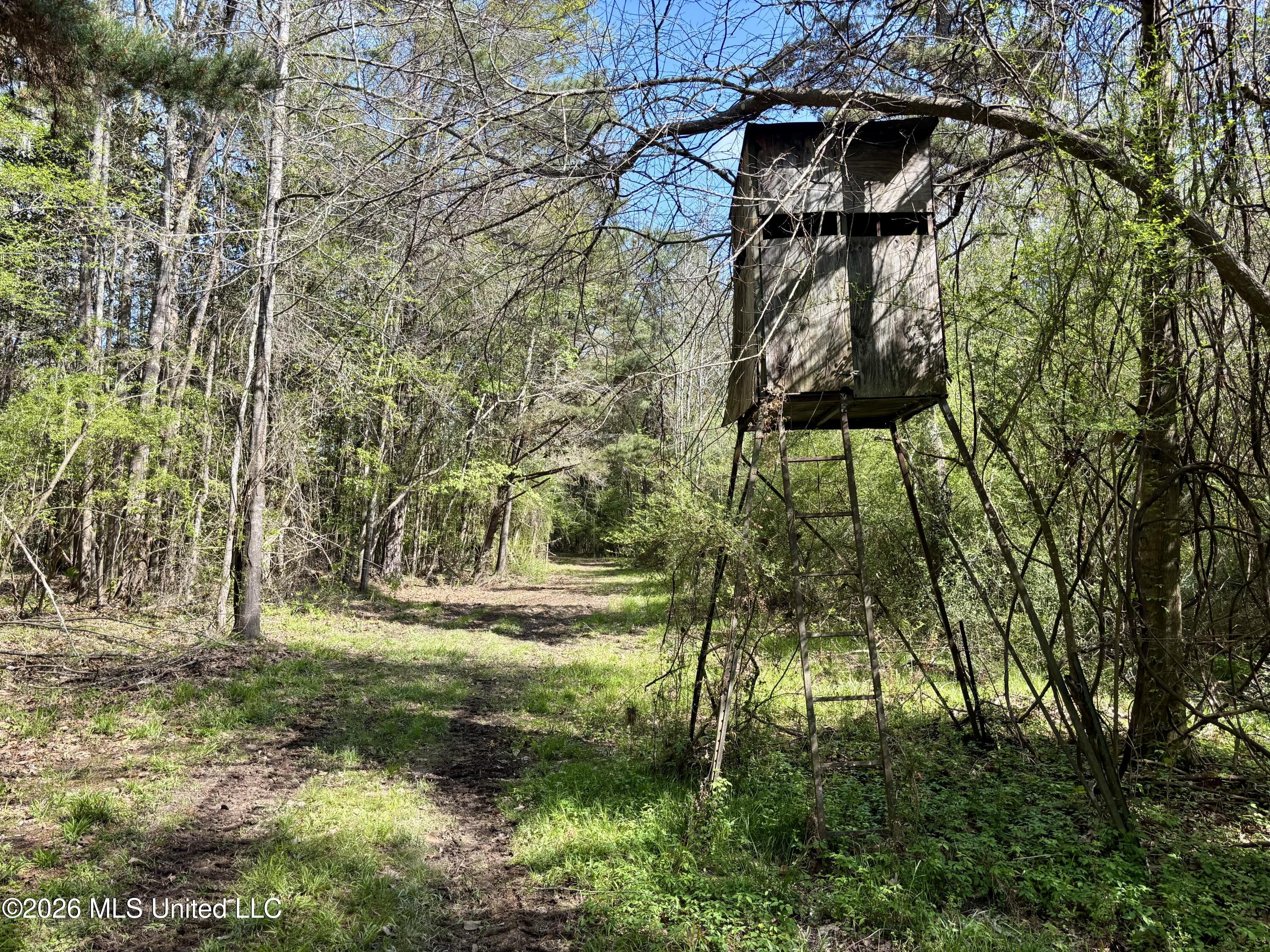 50 Oakdale Church Road Seminary, MS 39479 - Photo 45 of 65 IMG_4048