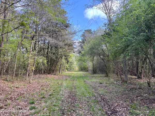 $486,500 | 50 Oakdale Church Road, Seminary, MS 39479