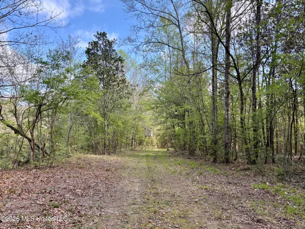 $486,500 | 50 Oakdale Church Road, Seminary, MS 39479