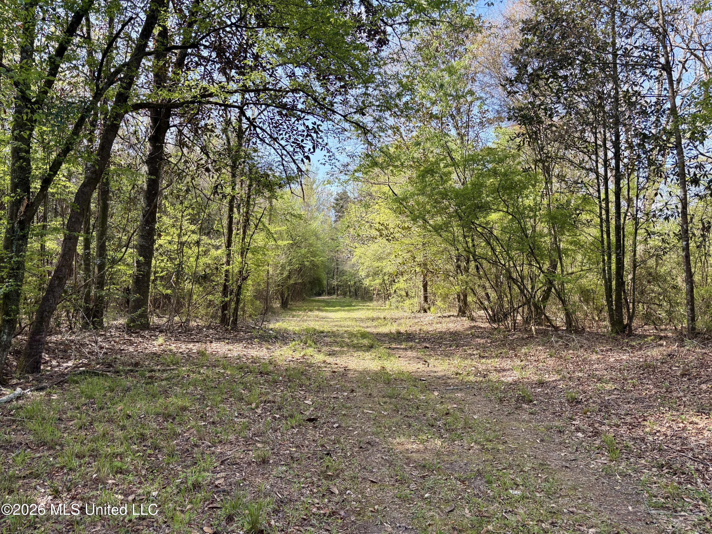50 Oakdale Church Road Seminary, MS 39479 - Photo 48 of 65 IMG_4043