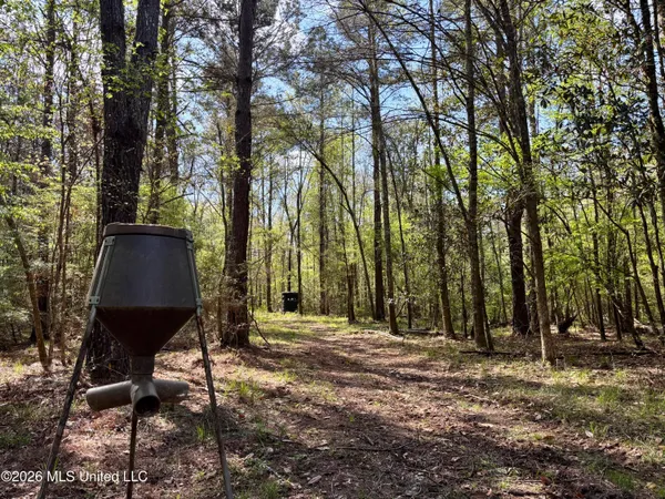 $486,500 | 50 Oakdale Church Road, Seminary, MS 39479