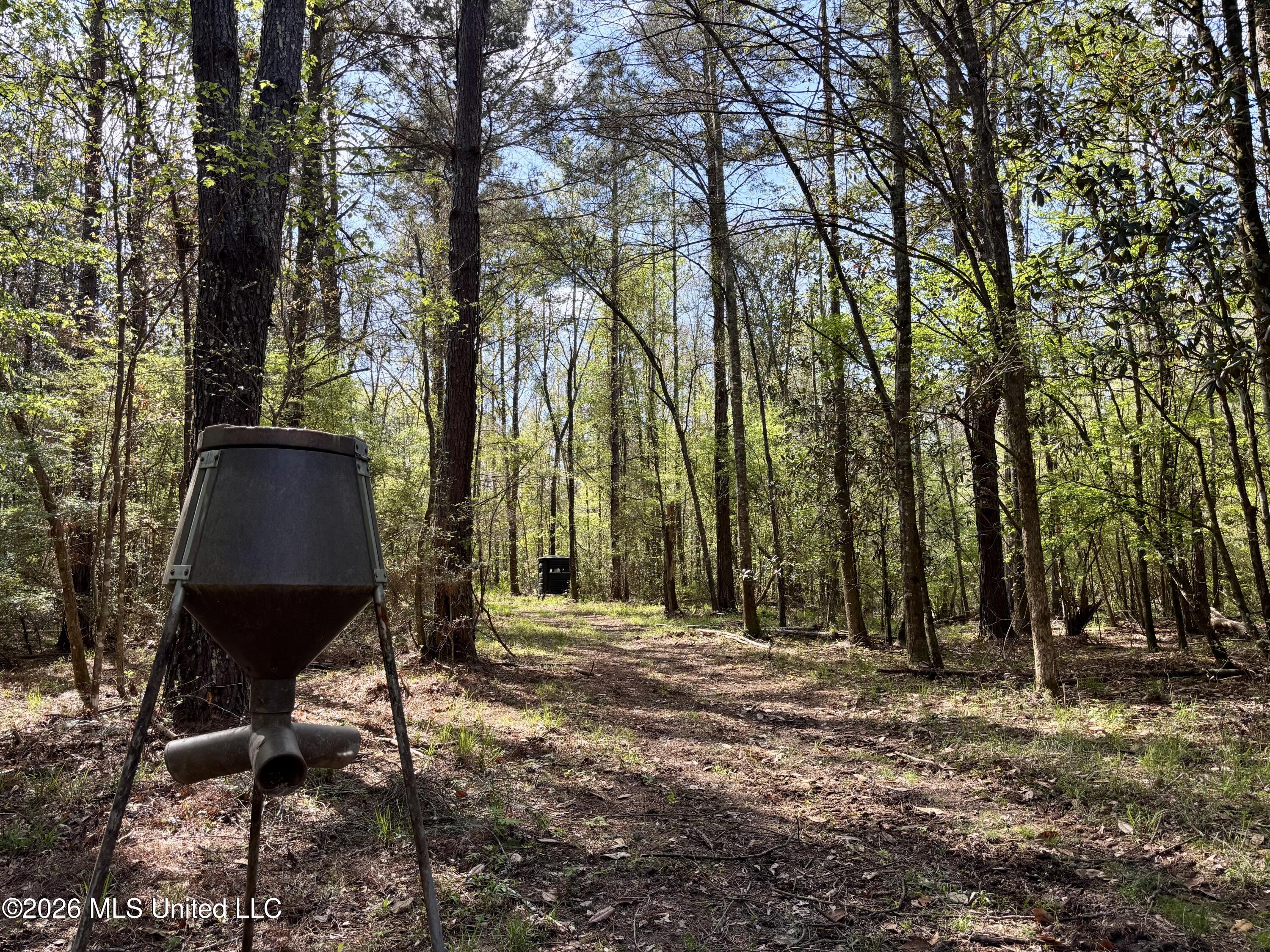 50 Oakdale Church Road Seminary, MS 39479 - Photo 49 of 65 IMG_4035