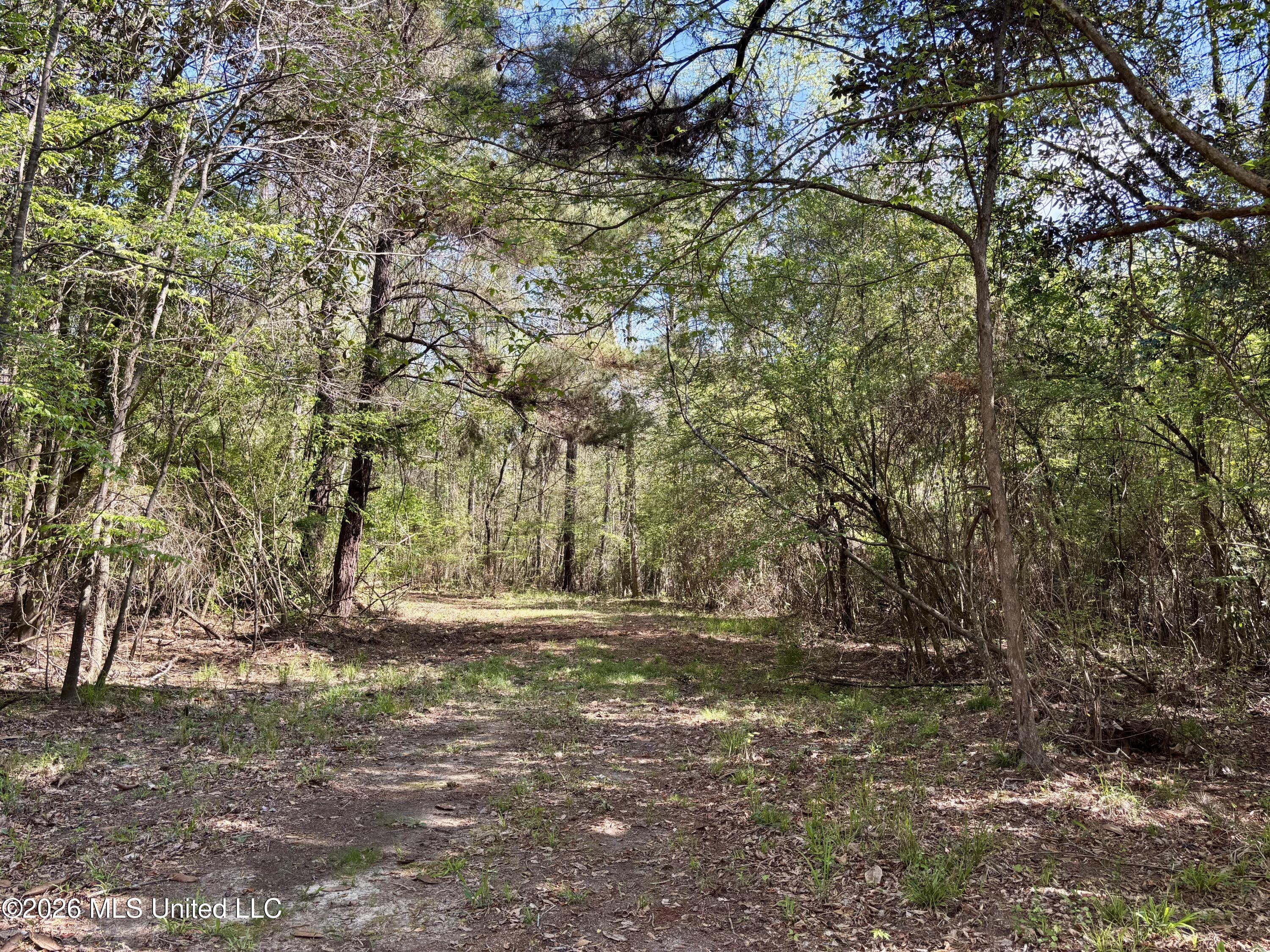 50 Oakdale Church Road Seminary, MS 39479 - Photo 50 of 65 IMG_4027