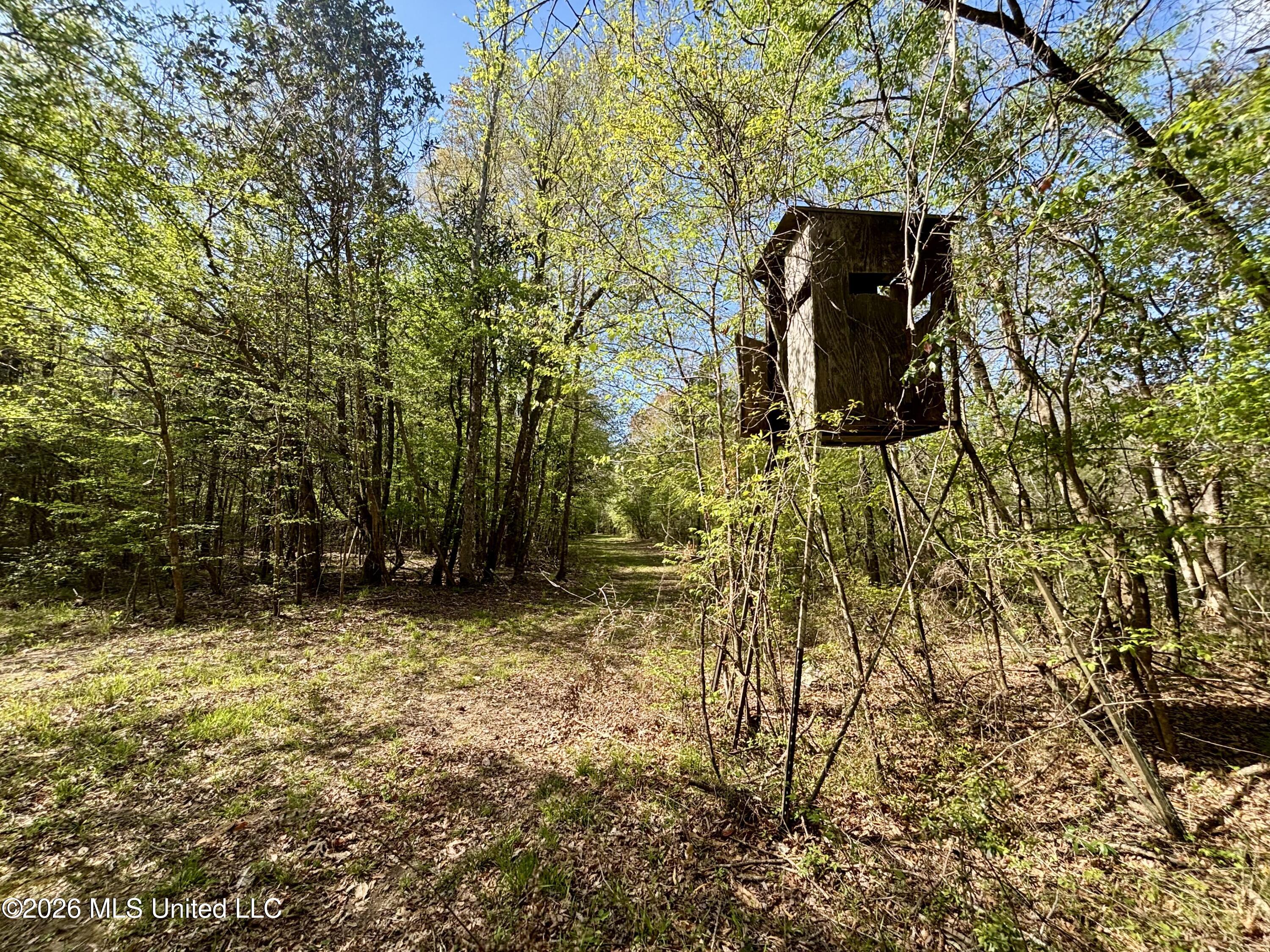 50 Oakdale Church Road Seminary, MS 39479 - Photo 51 of 65 IMG_4018