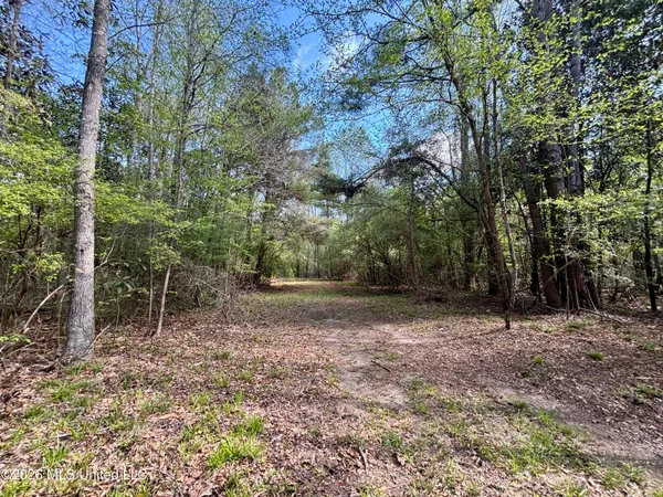 $486,500 | 50 Oakdale Church Road, Seminary, MS 39479