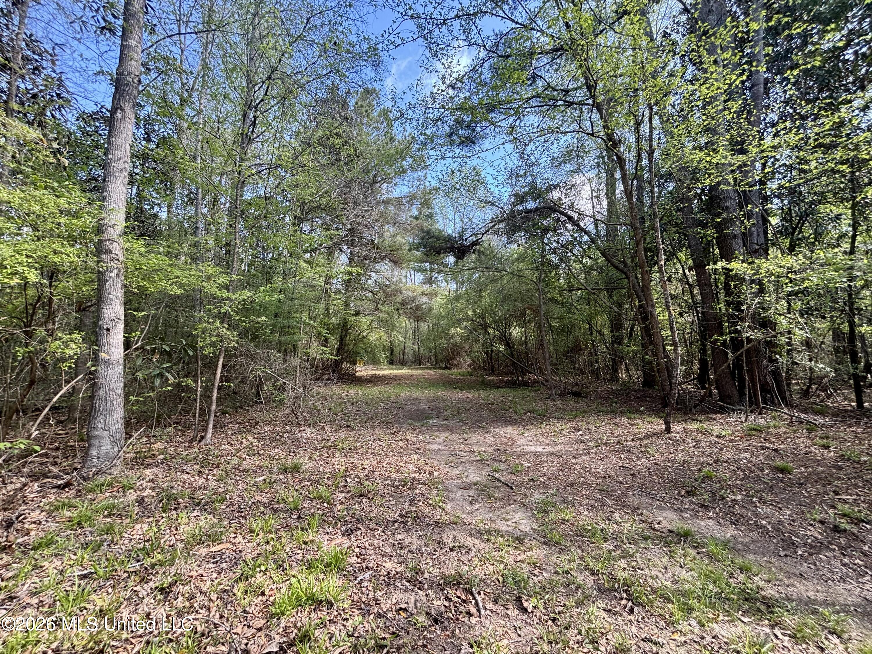 50 Oakdale Church Road Seminary, MS 39479 - Photo 52 of 65 IMG_4020
