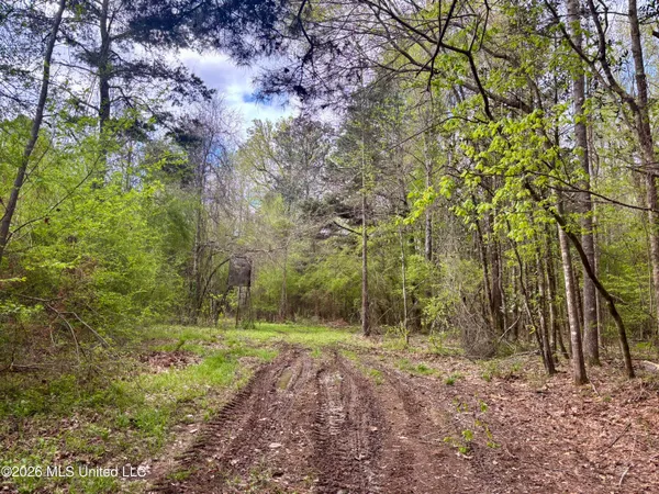 $486,500 | 50 Oakdale Church Road, Seminary, MS 39479