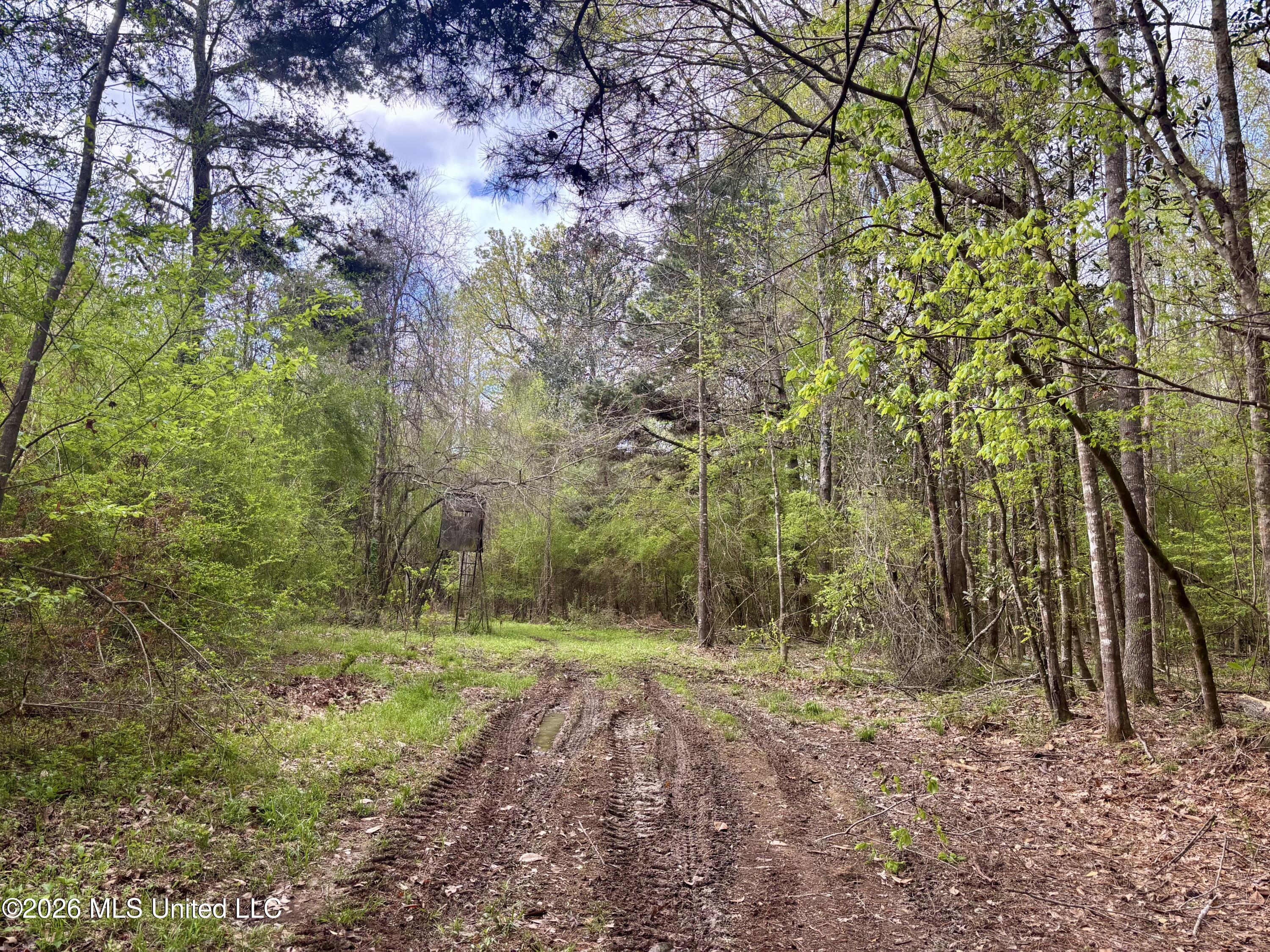 50 Oakdale Church Road Seminary, MS 39479 - Photo 53 of 65 IMG_4003