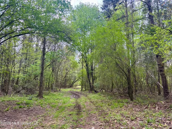 $486,500 | 50 Oakdale Church Road, Seminary, MS 39479