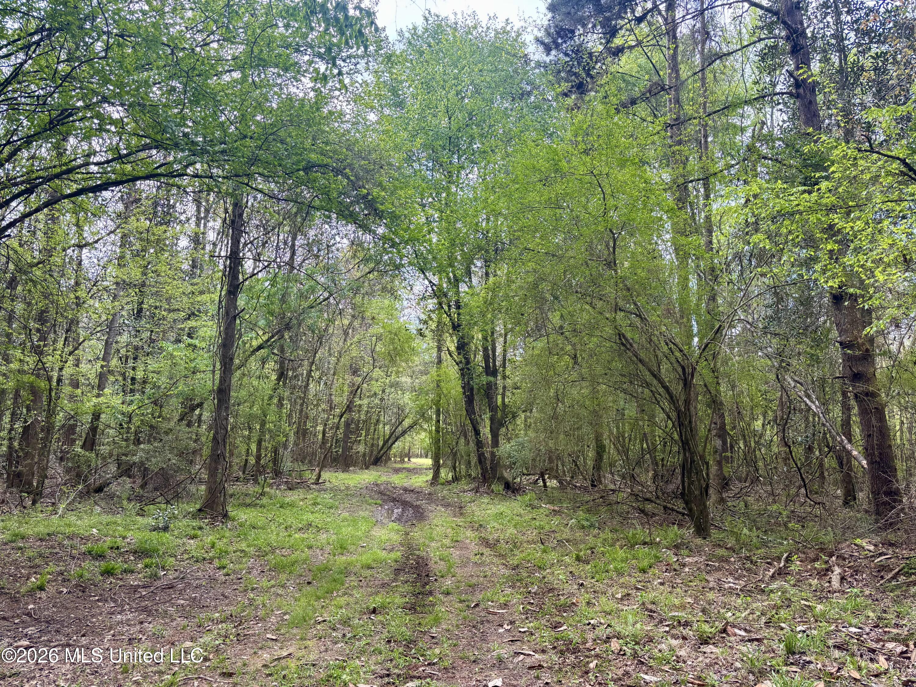 50 Oakdale Church Road Seminary, MS 39479 - Photo 55 of 65 IMG_4002