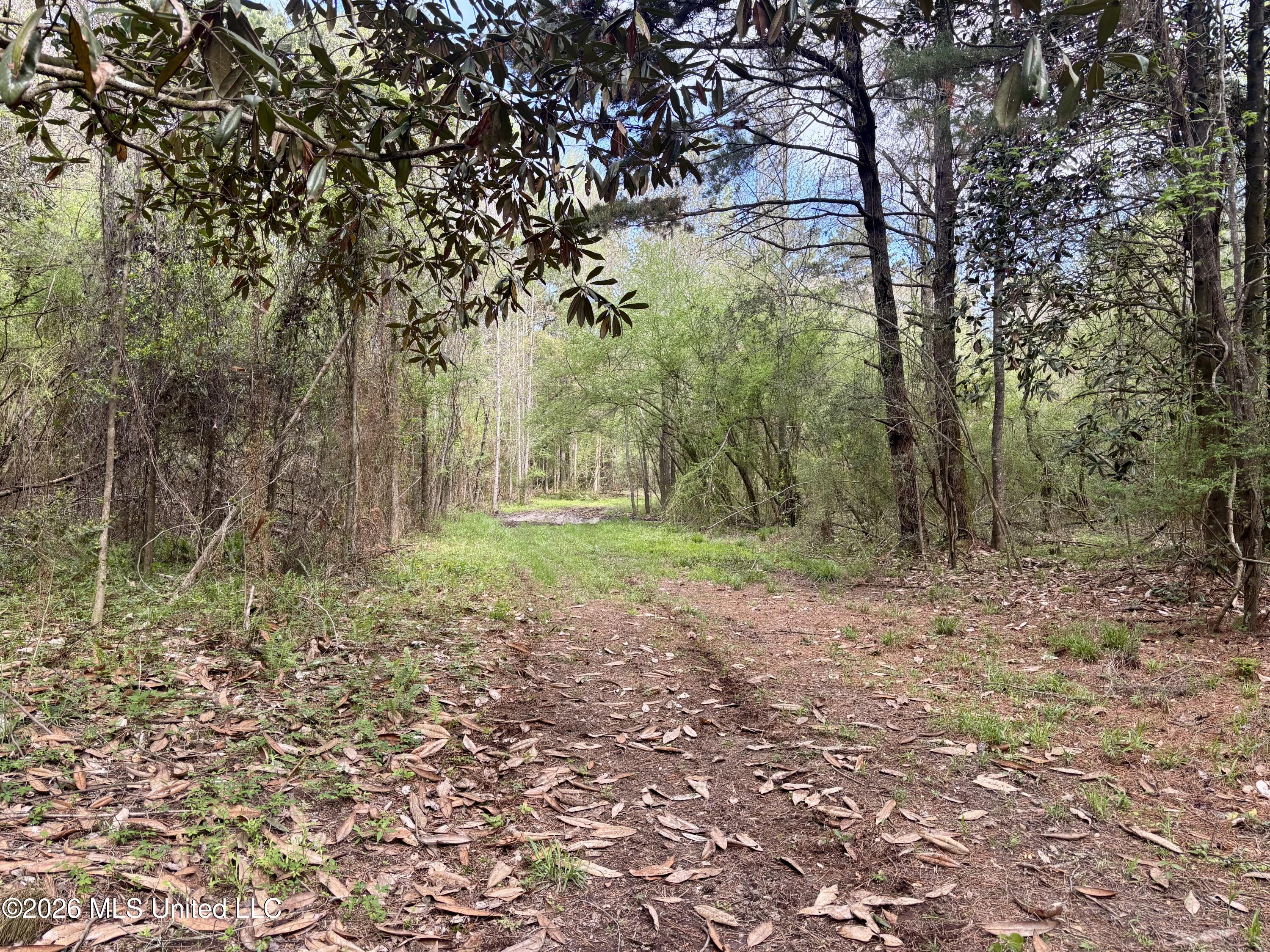 50 Oakdale Church Road Seminary, MS 39479 - Photo 56 of 65 IMG_3998