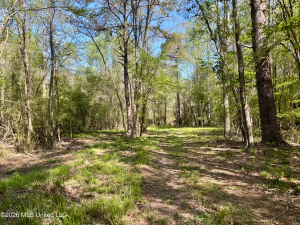 $486,500 | 50 Oakdale Church Road, Seminary, MS 39479