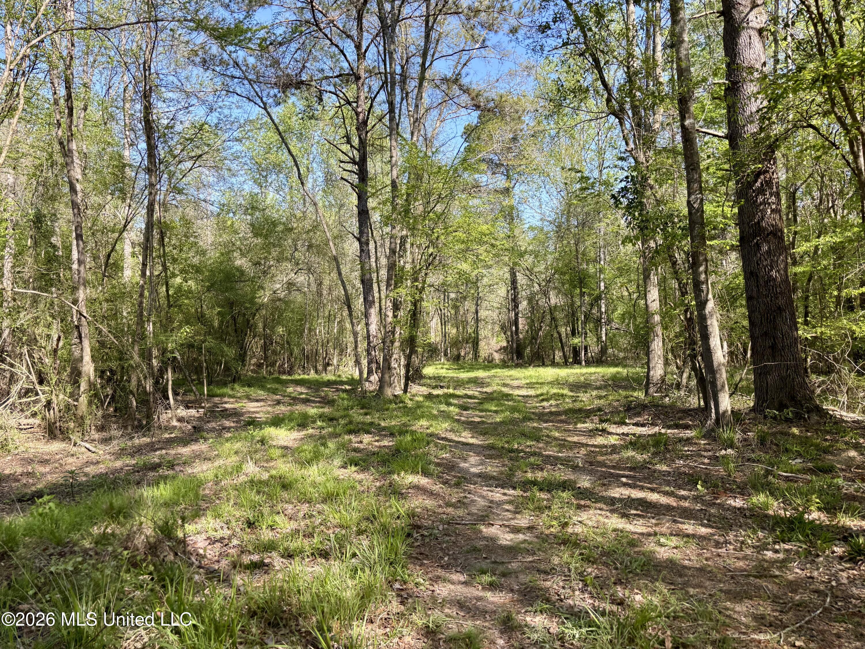 50 Oakdale Church Road Seminary, MS 39479 - Photo 57 of 65 IMG_4007