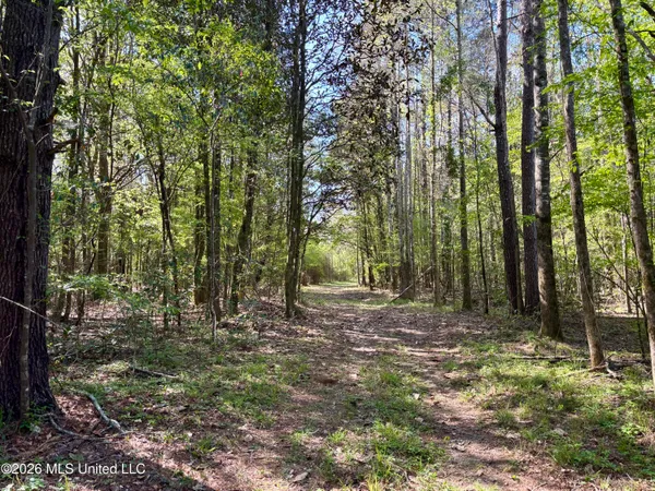 $486,500 | 50 Oakdale Church Road, Seminary, MS 39479