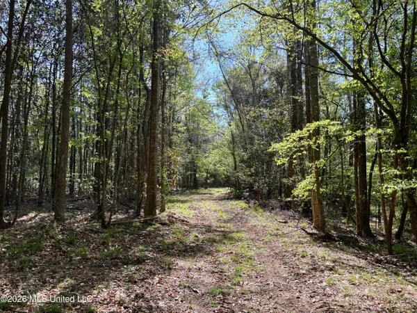 $486,500 | 50 Oakdale Church Road, Seminary, MS 39479