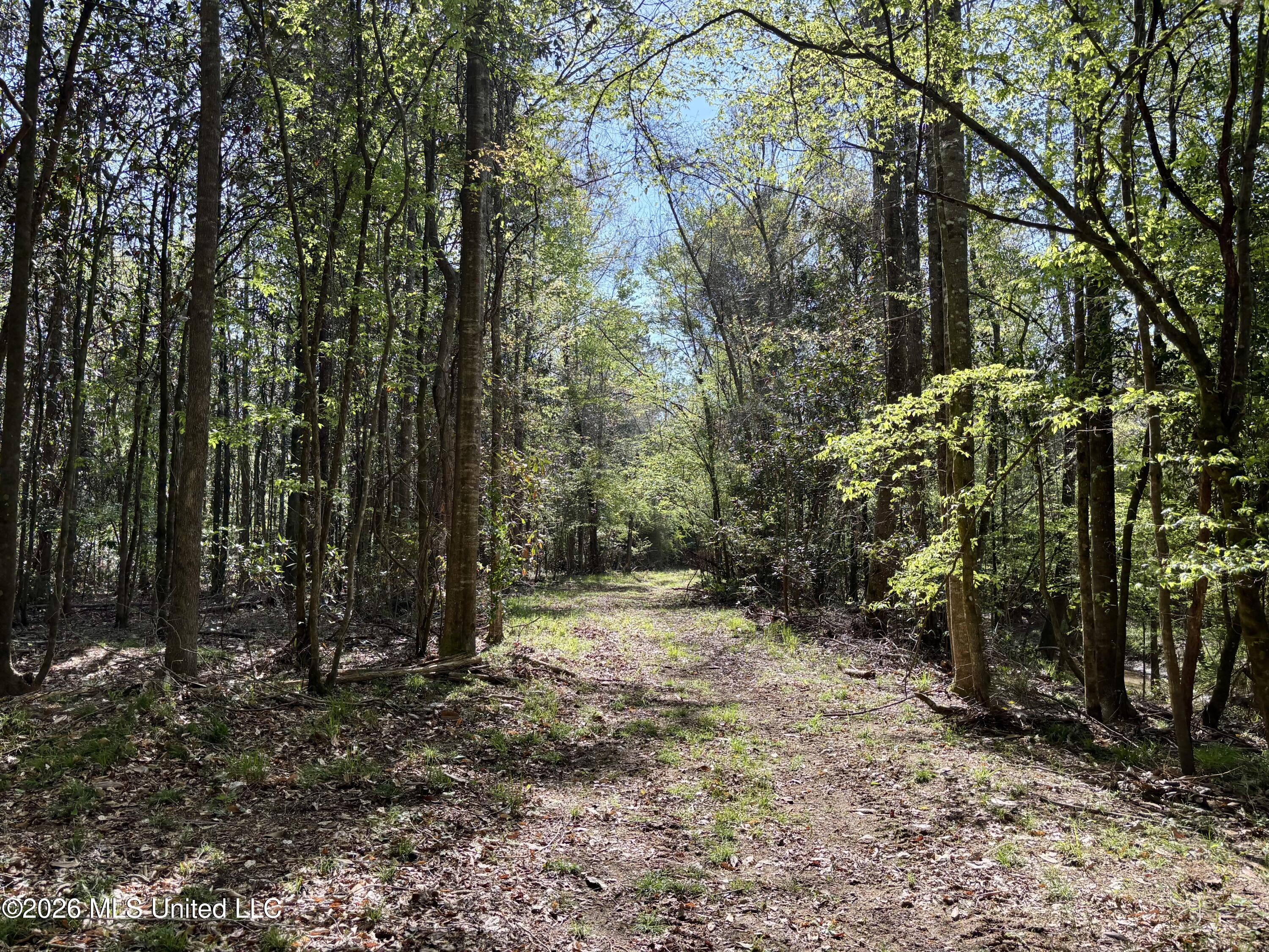 50 Oakdale Church Road Seminary, MS 39479 - Photo 60 of 65 IMG_4032