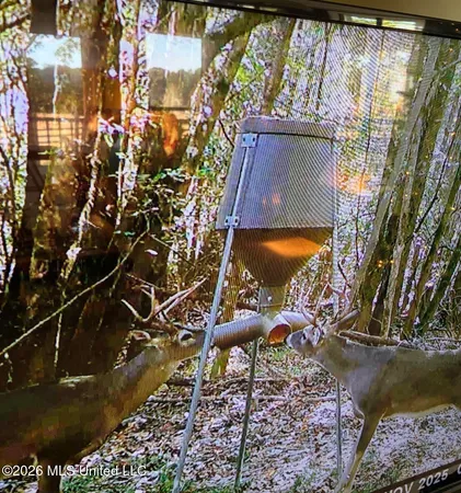 $486,500 | 50 Oakdale Church Road, Seminary, MS 39479