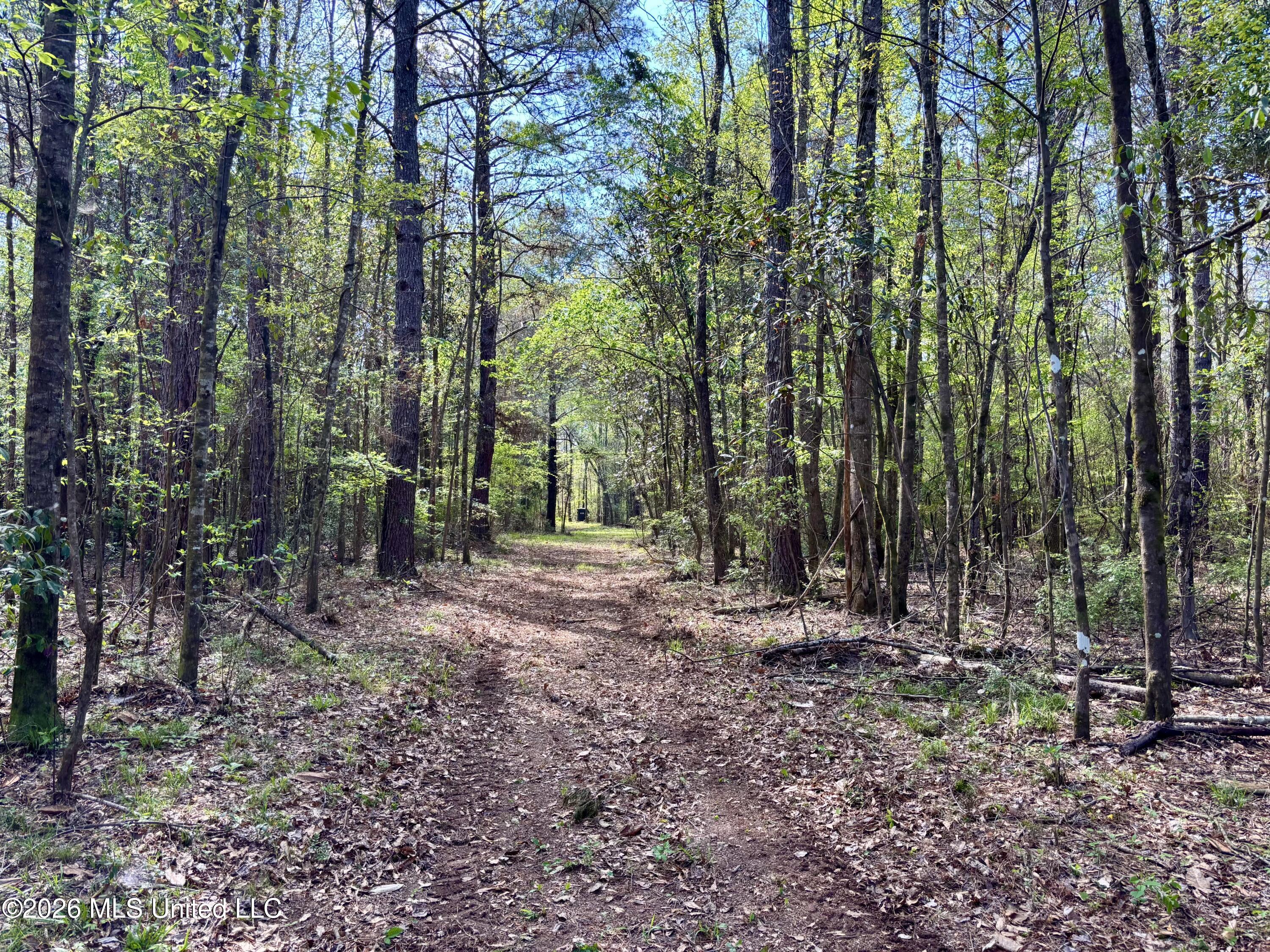 50 Oakdale Church Road Seminary, MS 39479 - Photo 61 of 65 IMG_4039